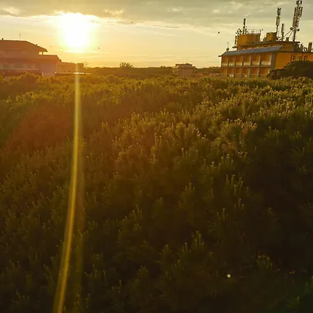 酒店 Pine Beach 罗索利纳马雷