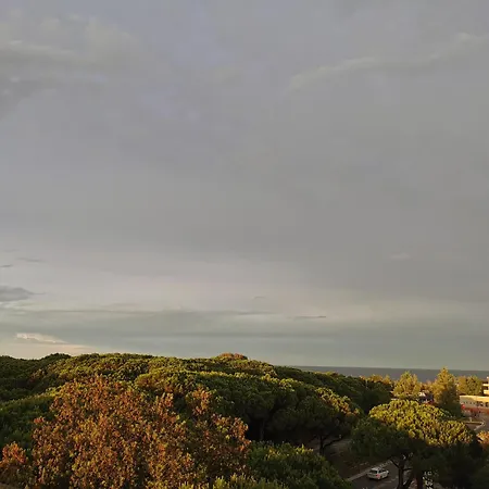 Pine Beach 호텔 3*