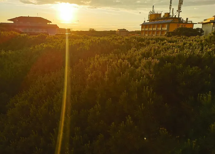 Ξενοδοχείο Pine Beach Rosolina Mare