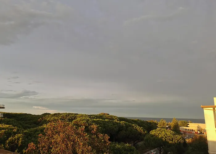 Pine Beach Ξενοδοχείο 3*